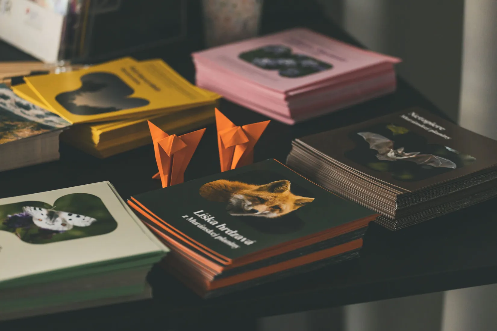 Origami